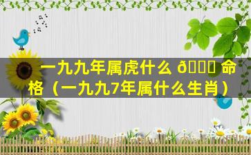 一九九年属虎什么 🐕 命格（一九九7年属什么生肖）